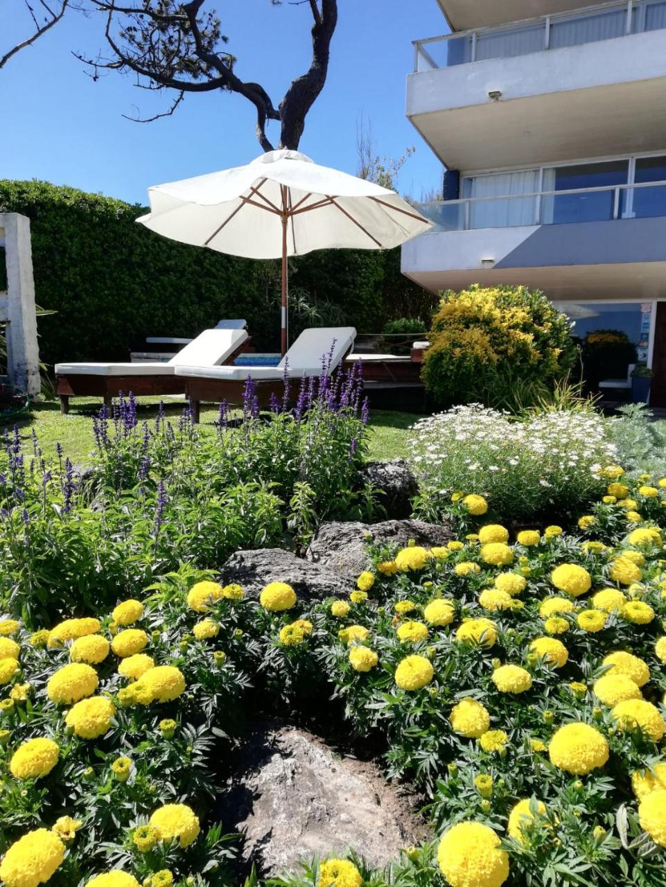 Bda Hotel & Spa Maldonado Exterior foto